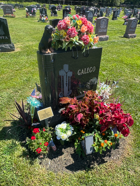 Flower delivery for Derek J. Galego