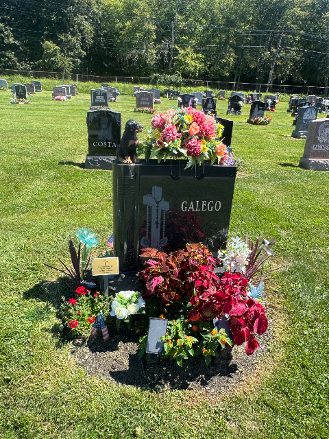 Flower delivery for Derek J. Galego