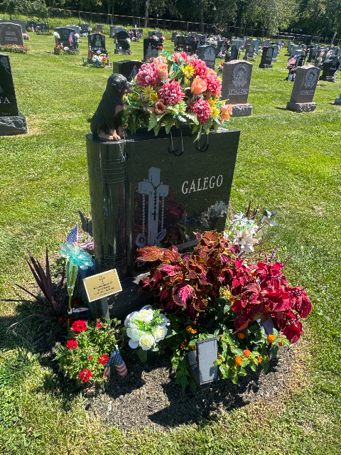 Flower delivery for Derek J. Galego