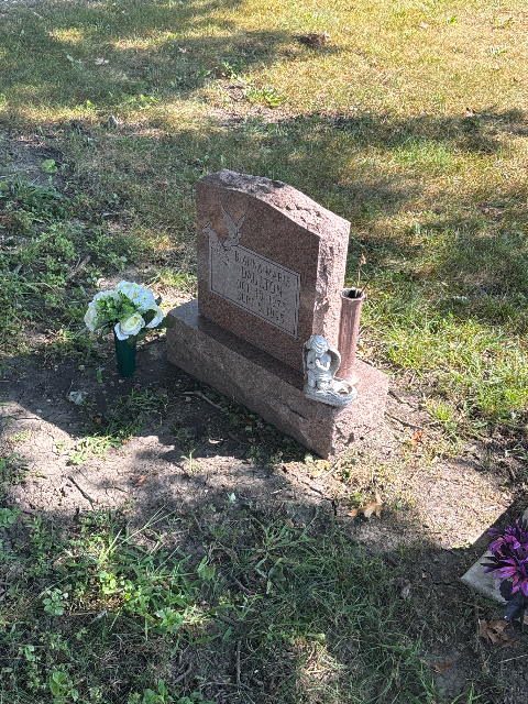 Flower delivery for Dianna Marie Daulton