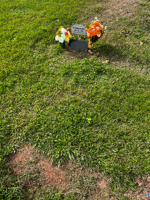 Flower delivery for Susan McCorristin