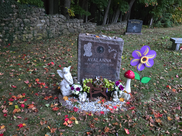 Flower delivery for Avalanna Routh