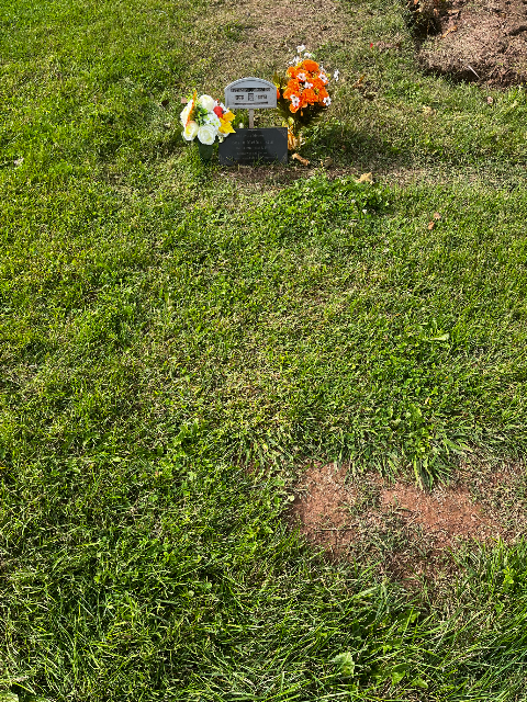 Flower delivery for Susan McCorristin