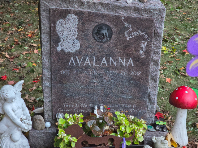Flowers placed at Locust Grove Cemetery