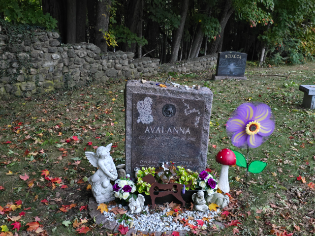 Flower delivery for Avalanna Routh