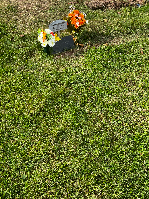 Flower delivery for Susan McCorristin